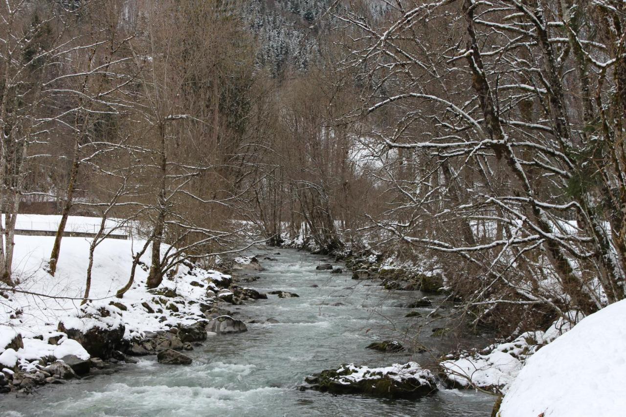 Chalet 8 Personnes + Grand Terrain Et Riviere Entremont Buitenkant foto